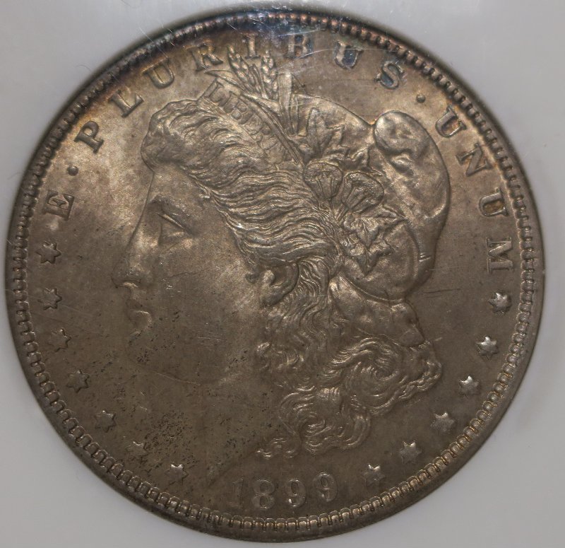 You-Vs-NGC-1899-O-Morgan-Dollar